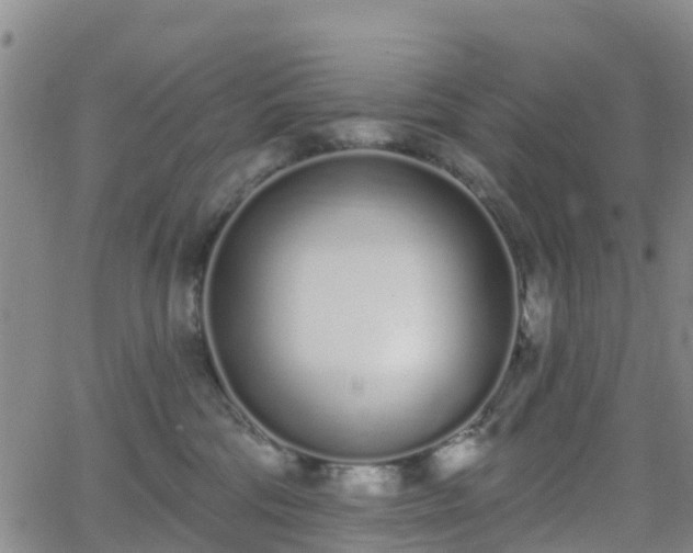 X0000064050330200601301220