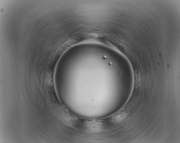 X0000064050331200601301220