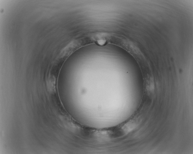 X0000064050332200601301220