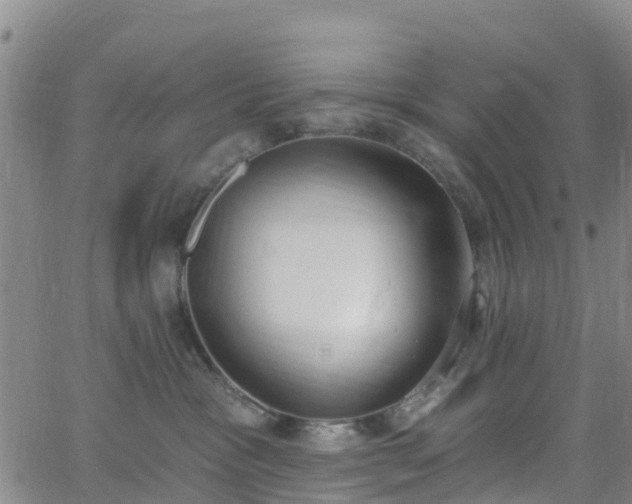 X0000064050333200601301220