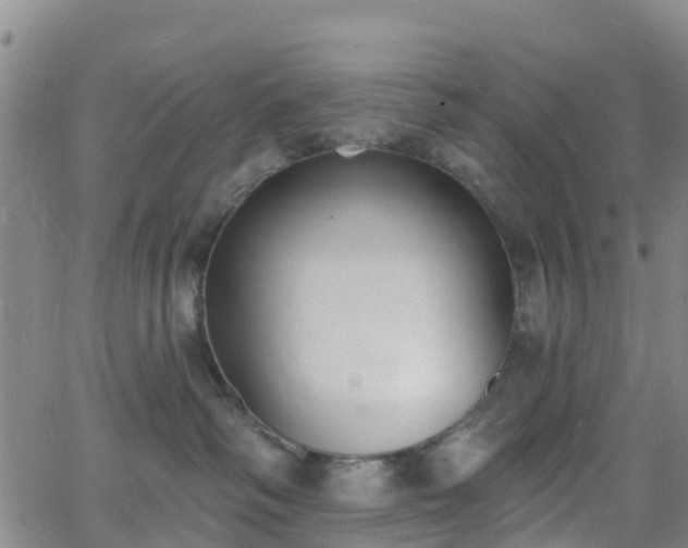 X0000064050334200601301220