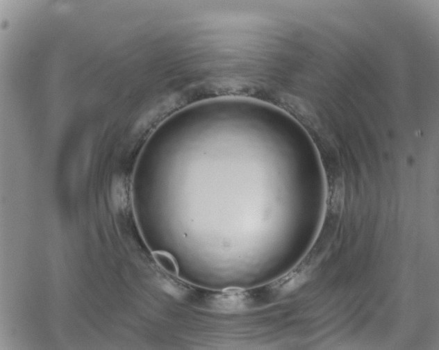 X0000064050335200601301220