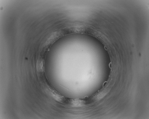 X0000064050336200601301220