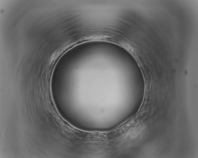 X0000064050337200601301219