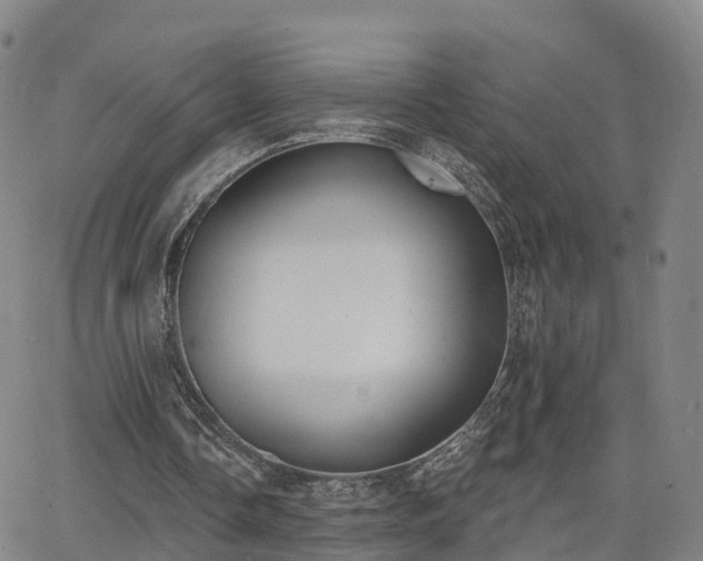 X0000064050338200601301219