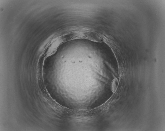 X0000064050339200601301219