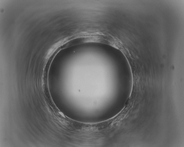 X0000064050340200601301219