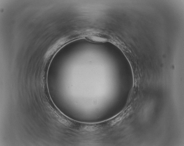 X0000064050341200601301219