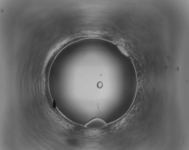 X0000064050342200601301219