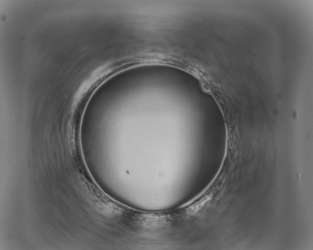 X0000064050343200601301219