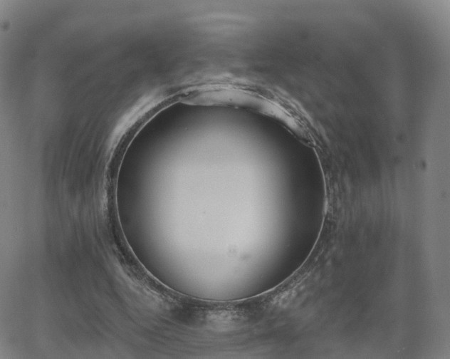 X0000064050344200601301219