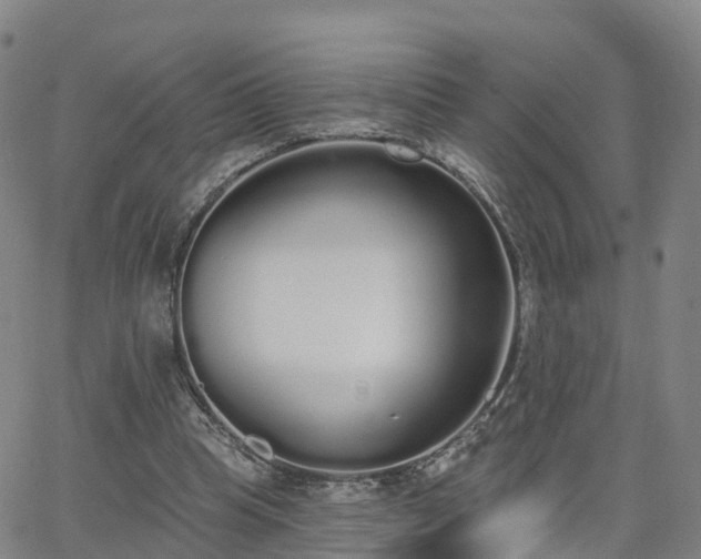 X0000064050345200601301219