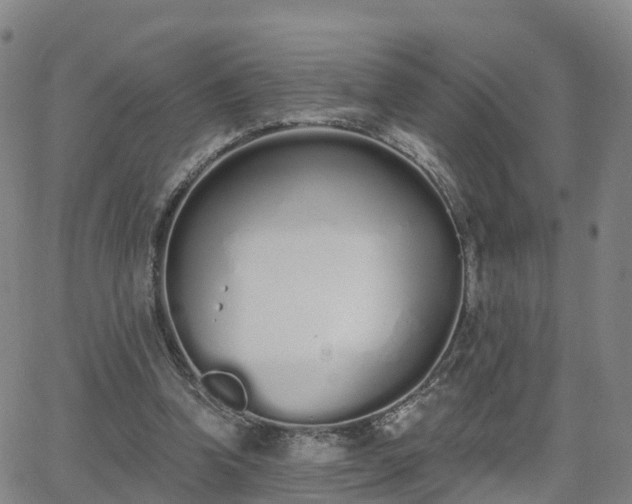 X0000064050346200601301219