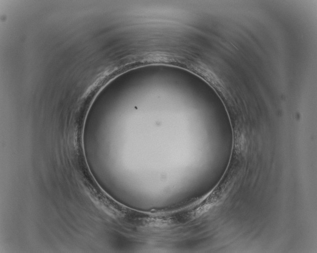 X0000064050347200601301219