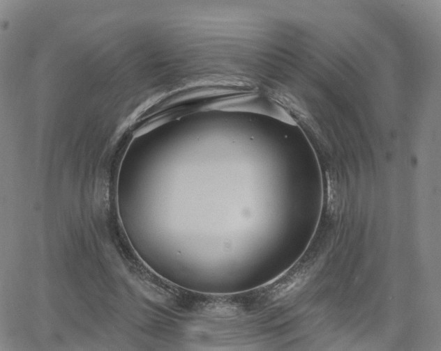 X0000064050348200601301219