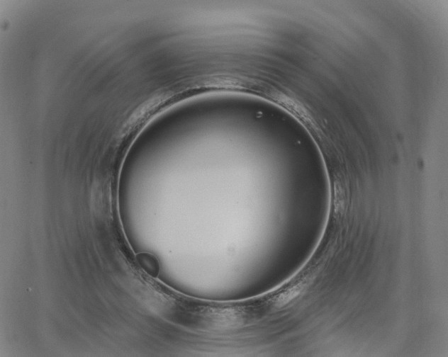 X0000064050349200601301219