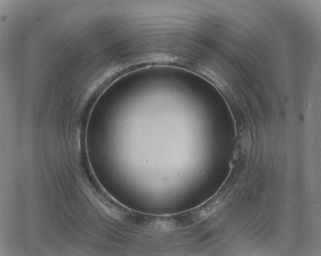 X0000064050350200601301219