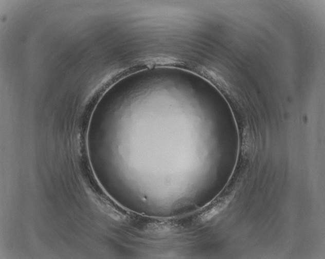 X0000064050351200601301219