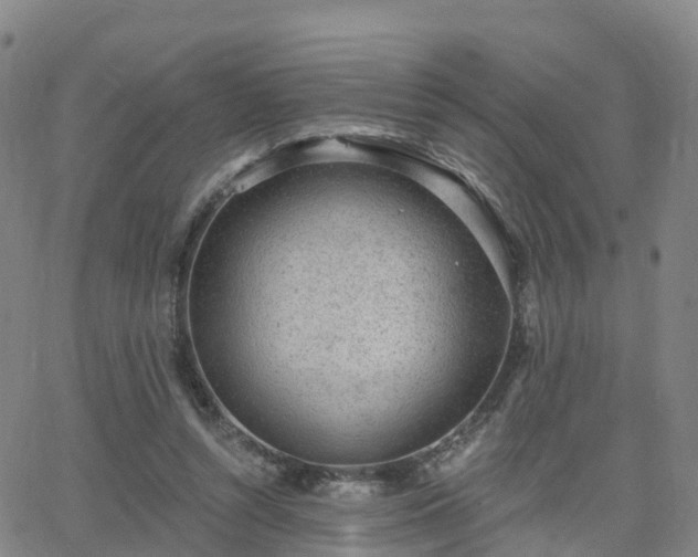 X0000064050352200601301219