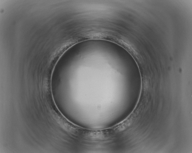 X0000064050353200601301219