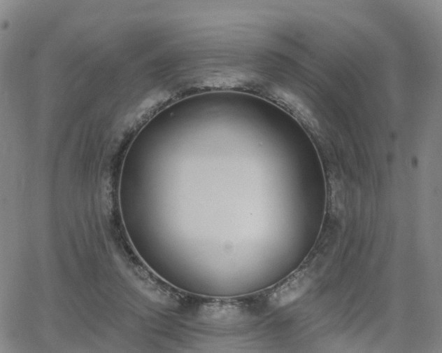 X0000064050354200601301219