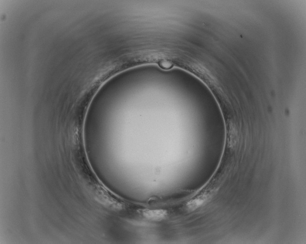 X0000064050355200601301219