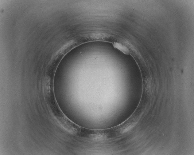 X0000064050356200601301219