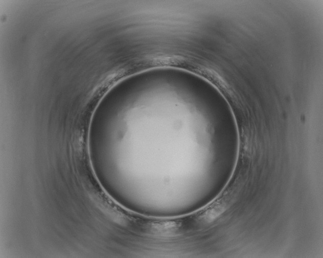 X0000064050357200601301219