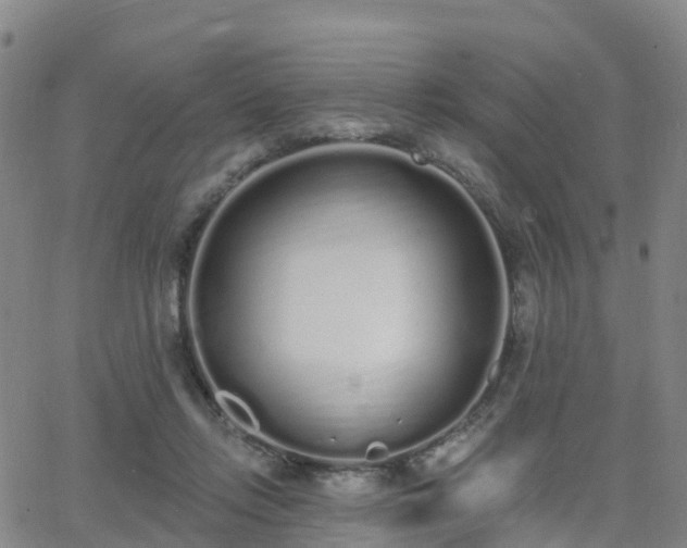 X0000064050358200601301219