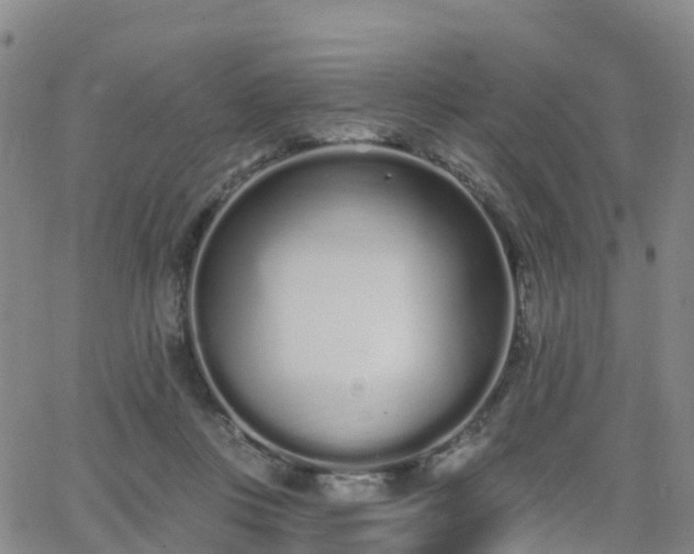 X0000064050359200601301219