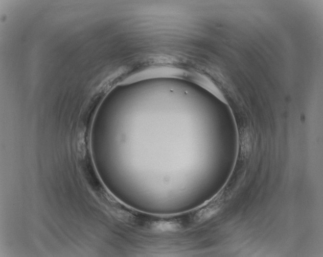 X0000064050360200601301219