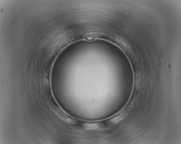 X0000064050361200601301219