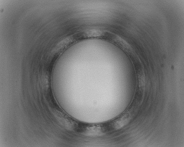 X0000064050362200601301219