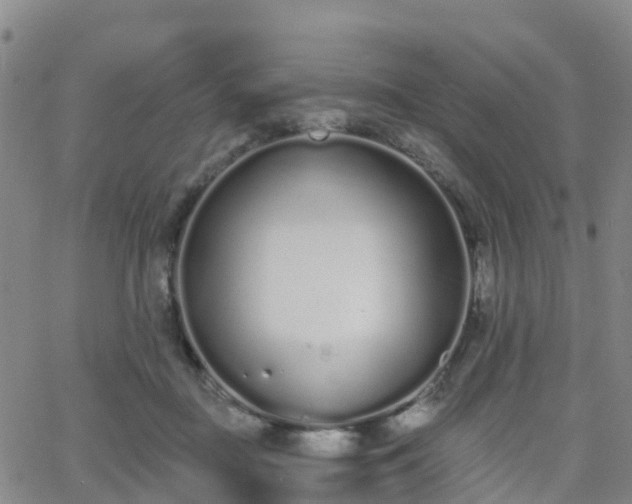 X0000064050363200601301219