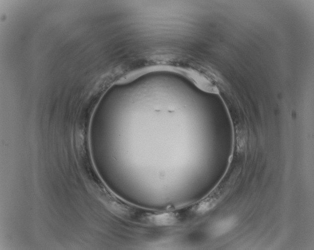 X0000064050365200601301219