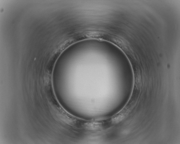 X0000064050367200601301219