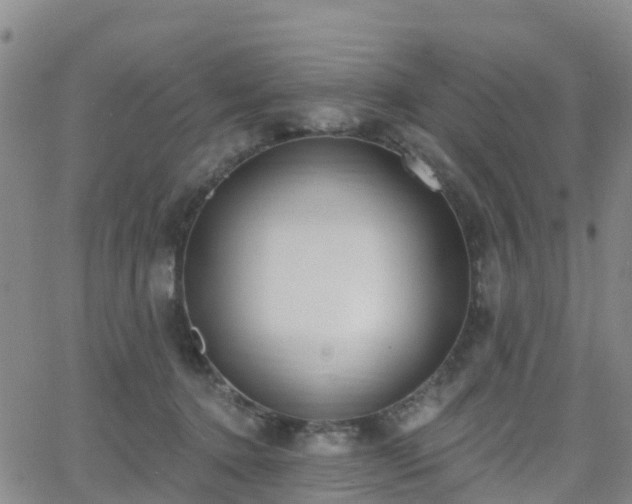 X0000064050368200601301219