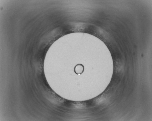 X0000064050370200601301219