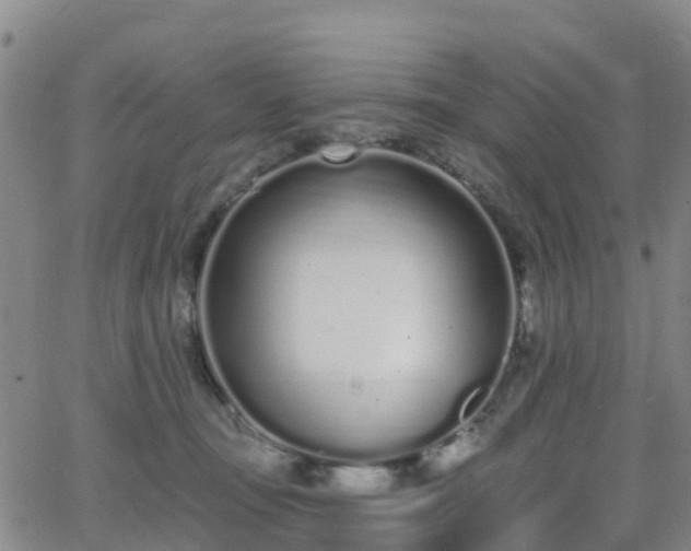 X0000064050371200601301219