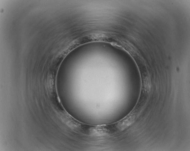 X0000064050372200601301219