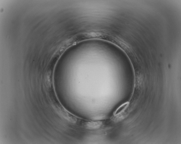 X0000064050373200601301219