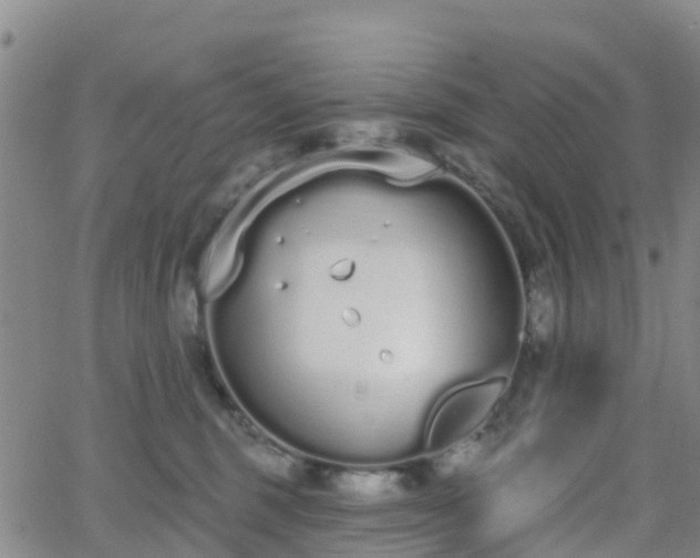 X0000064050375200601301219