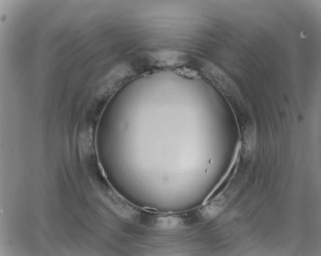 X0000064050376200601301219