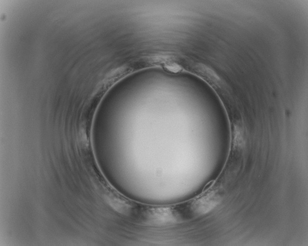 X0000064050377200601301219