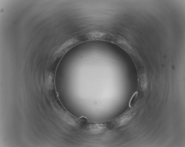 X0000064050378200601301219