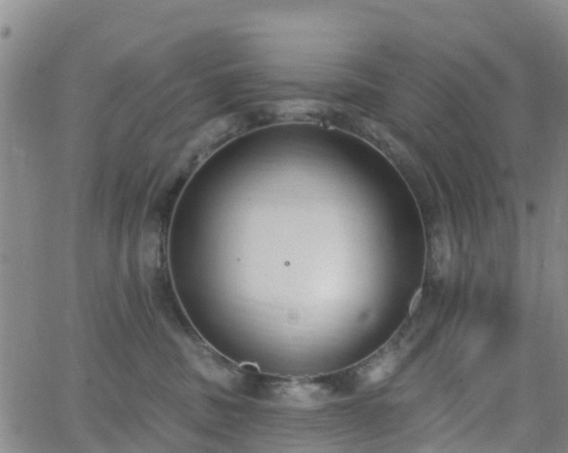 X0000064050379200601301219