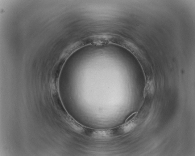 X0000064050381200601301220