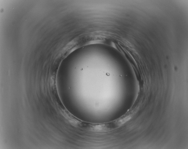 X0000064050382200601301220