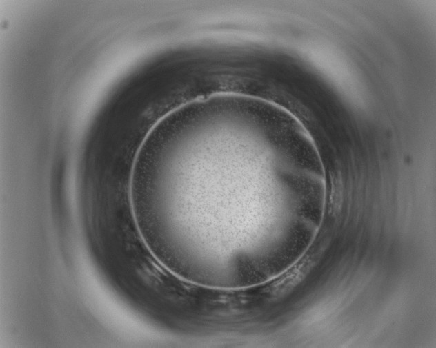 X0000064050383200601301220