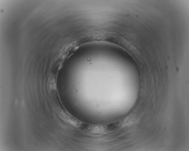 X0000064050384200601301220